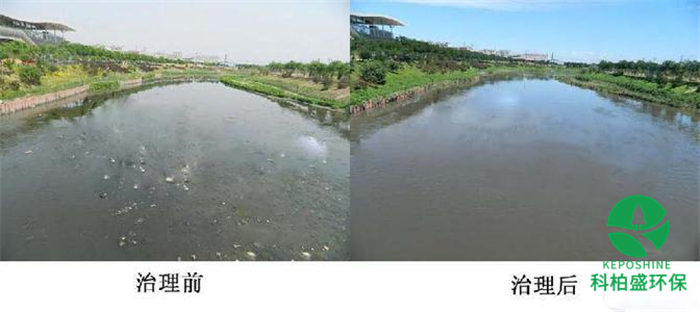 7790ط(й)޹˾-BinGٿ