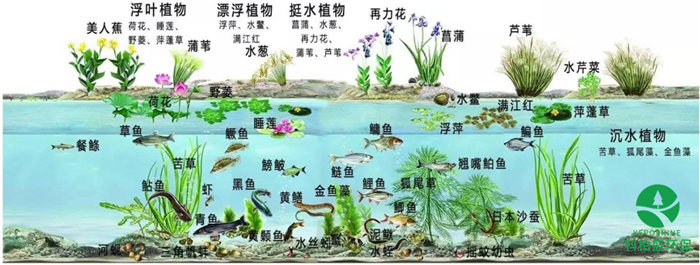 7790ط(й)޹˾-BinGٿ