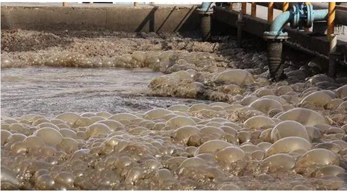 7790ط(й)޹˾-BinGٿ