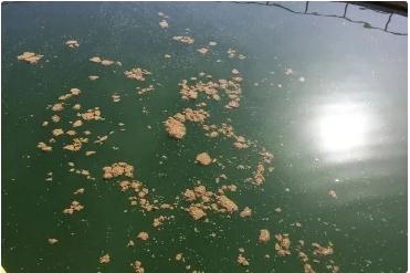 7790ط(й)޹˾-BinGٿ