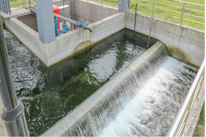 7790ط(й)޹˾-BinGٿ