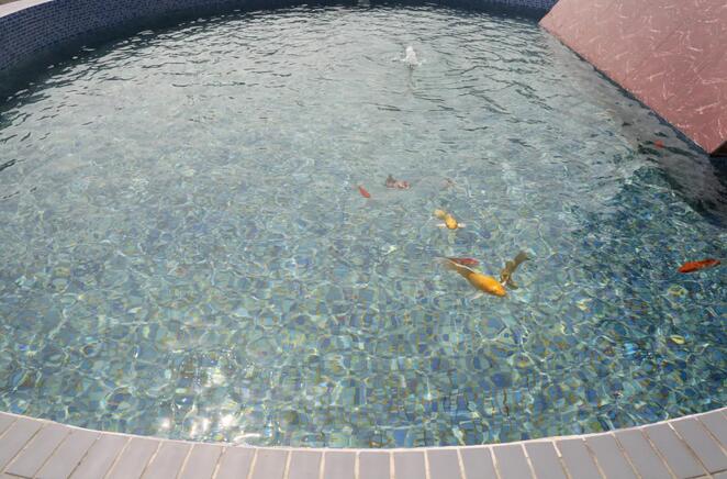 7790ط(й)޹˾-BinGٿ