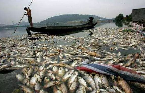 7790ط(й)޹˾-BinGٿ